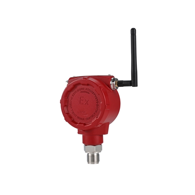 IP68 steel case wireless Lora/LoraWan/WMBus/Cat 1 pressure transmitter